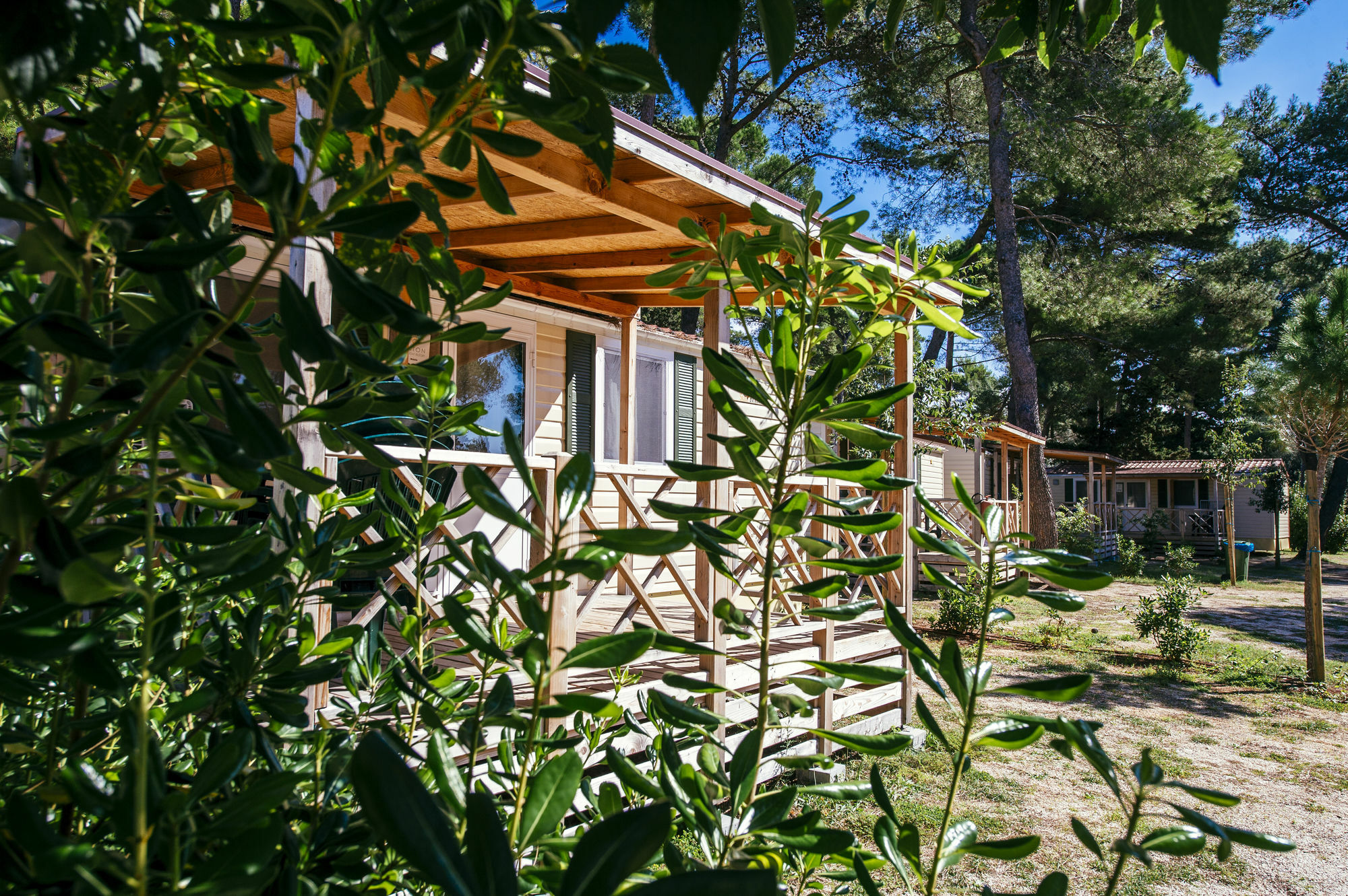 Zaton Holiday Resort Mobile Homes 宁 外观 照片